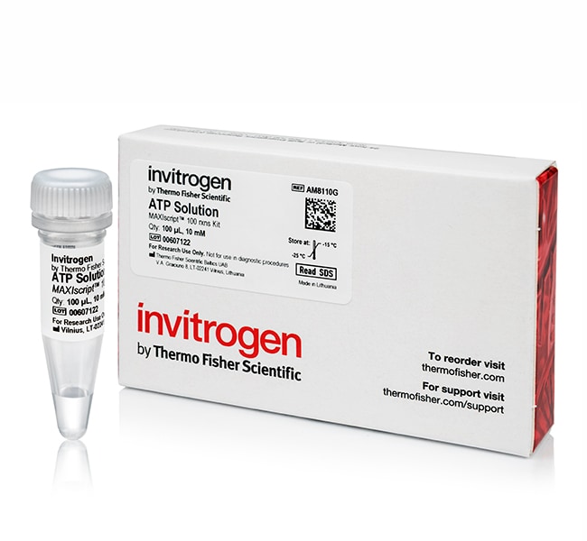 Ambion® ATP Solution (10 mM), 100 µl Thi